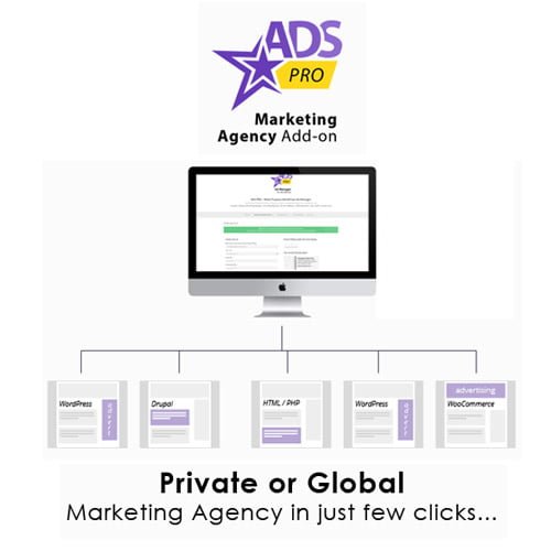 Ads Pro Add on WordPress Marketing Agency
