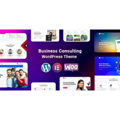 Consua Business Consulting WordPress