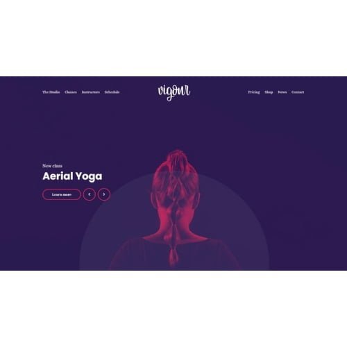 Cssignither Vigour WP Theme Nulled