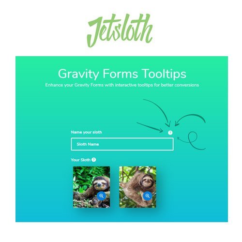 Jetsloth Gravity Forms Tooltips