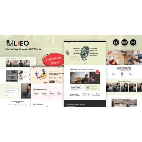 LIEO Consulting Theme