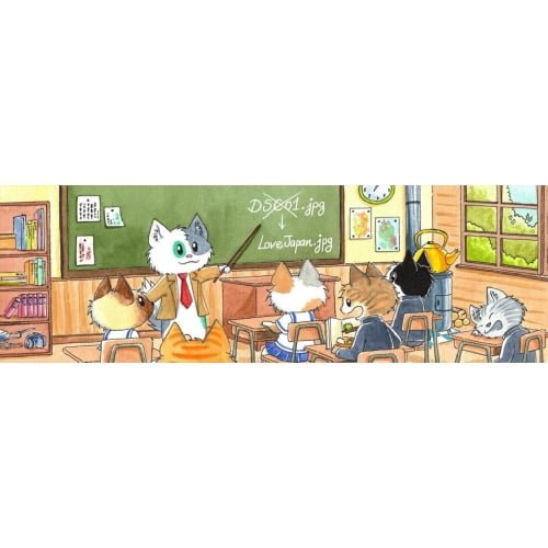 Media File Renamer Nulled 991x321 1