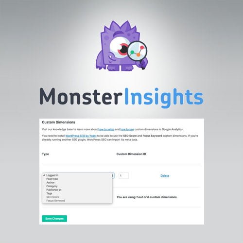 MonsterInsights Dimensions Addon