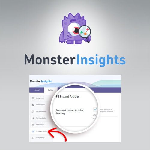 MonsterInsights Facebook Instant Articles Addon