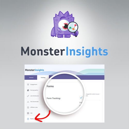 MonsterInsights Forms Tracking Addon