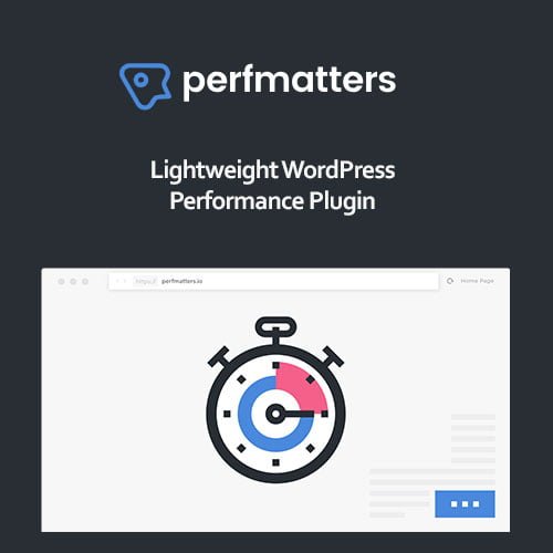 Perfmatters WordPress Plugin 1