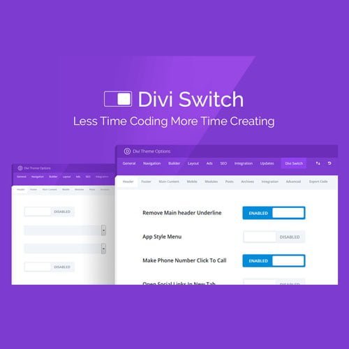 divi switch